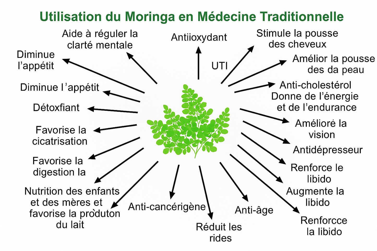 Poudre de Moringa Naturelle 100g